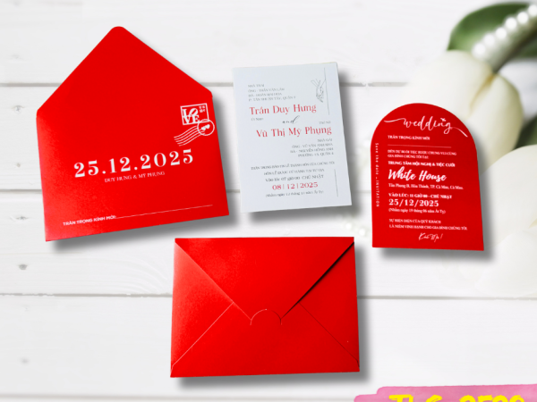 TLS-2528